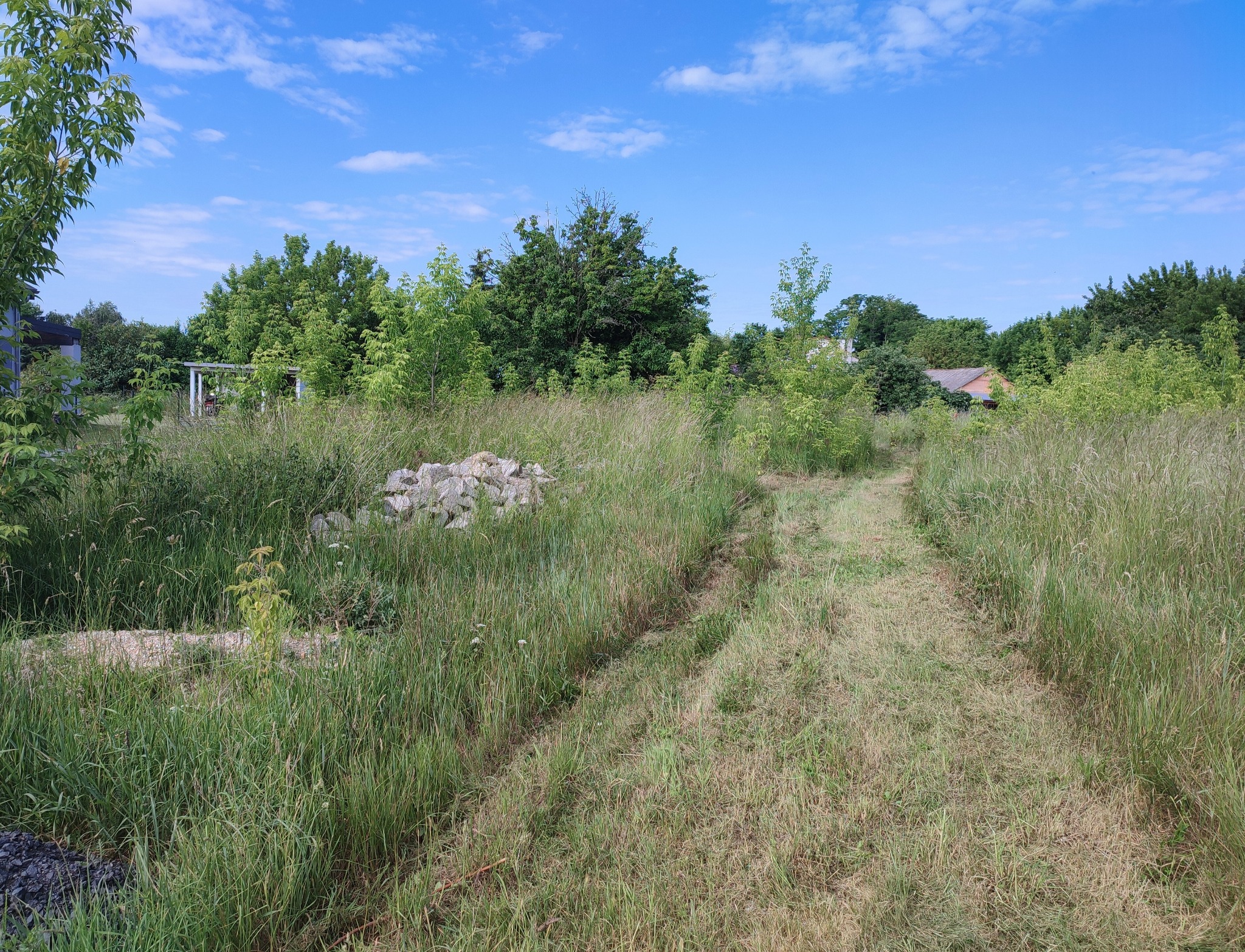 Ścieżka z wykoszoną trawą prowadząca przez zarośniętą łąkę z pryzmą kamieni w tle, pod błękitnym niebem.