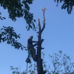 Alpinistyczna Wycinka Drzew ARBO-KRIS Krzysztof Rożek - Usługi Wysokościowe Rzeszów
