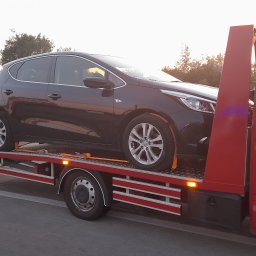 Transport samochodów z zagranicy Ślesin 2