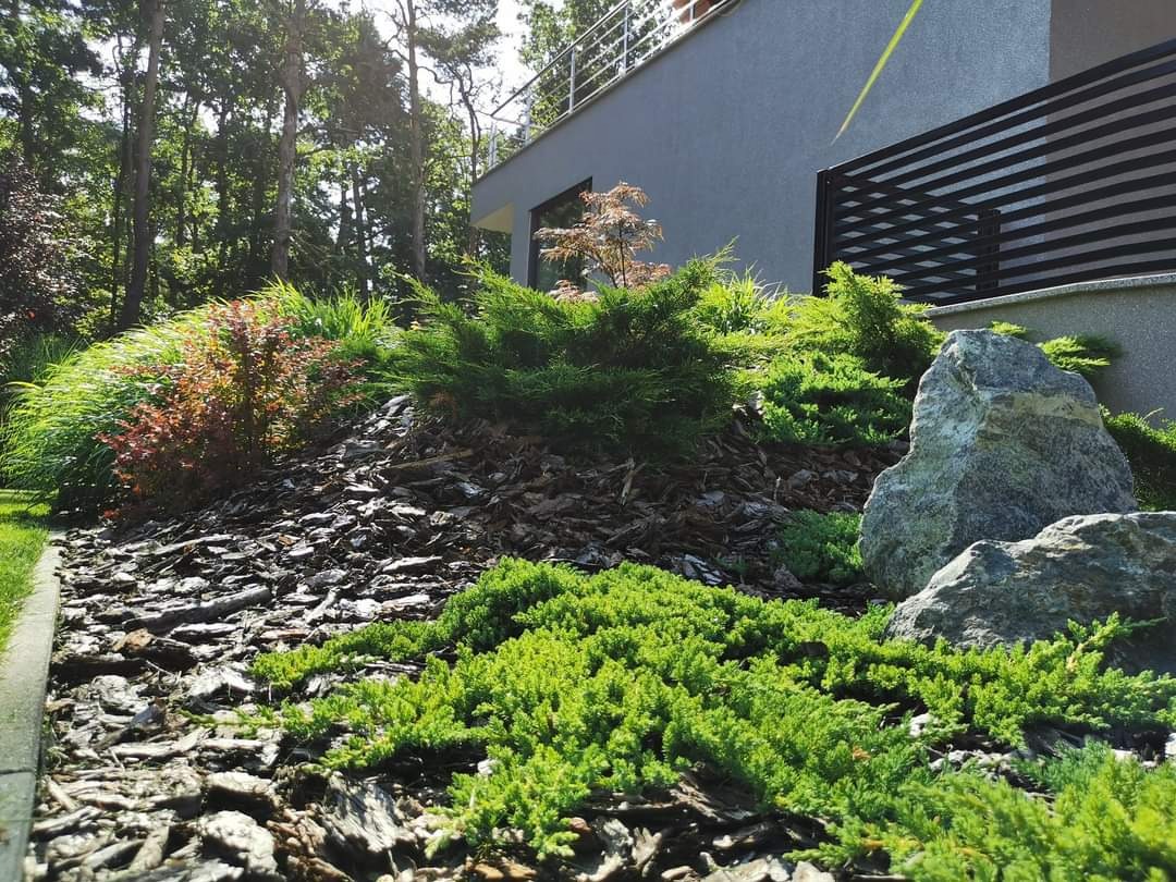 Kaskadowy ogród skalny z iglakami, trawami ozdobnymi i korą, z nowoczesnym budynkiem w tle.