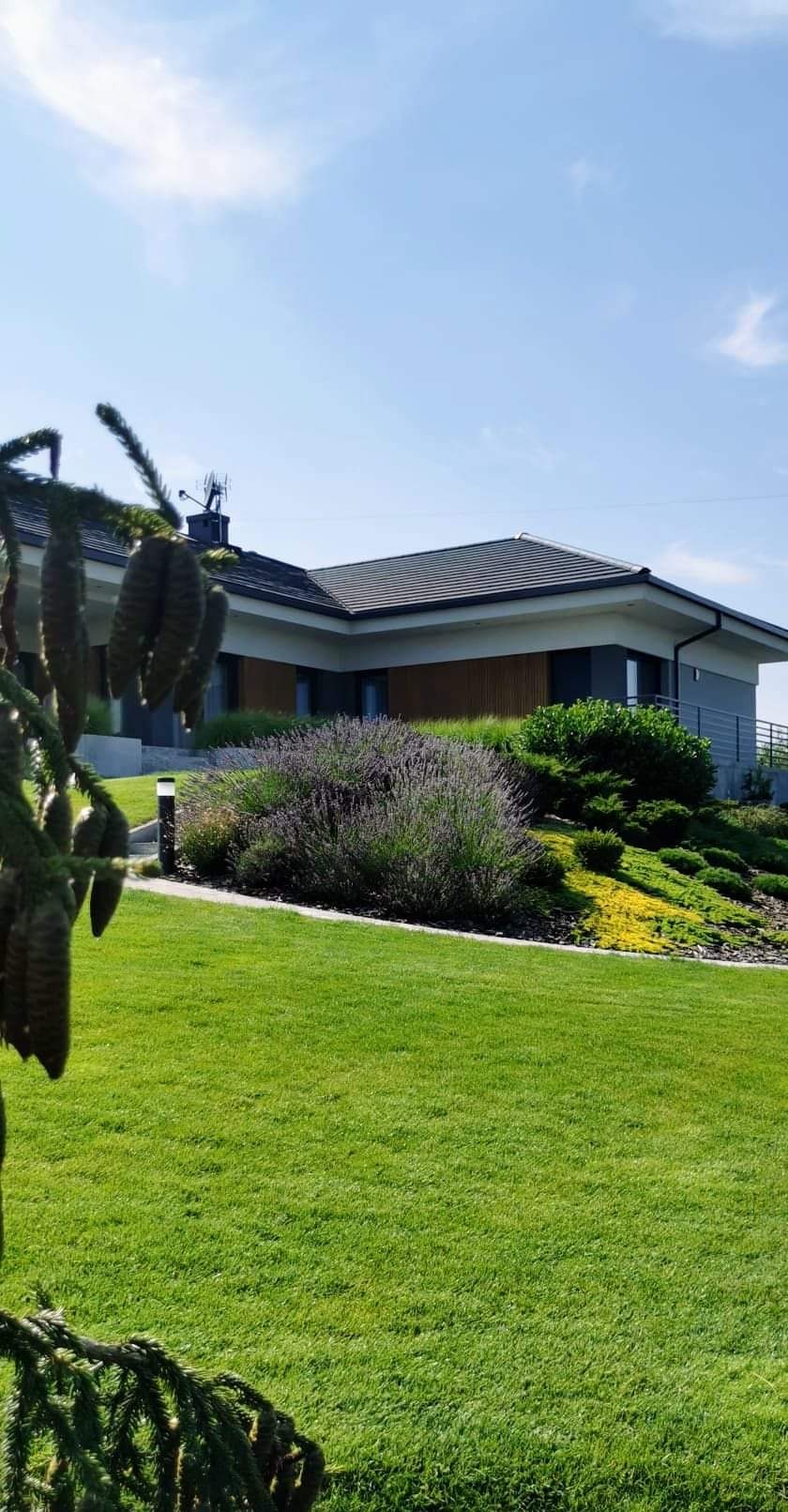 Nowoczesny dom jednorodzinny z zagospodarowanym ogrodem, widok na rabaty z lawendą i niskie rośliny okrywowe, oświetlenie ogrodowe wzdłuż ścieżki.