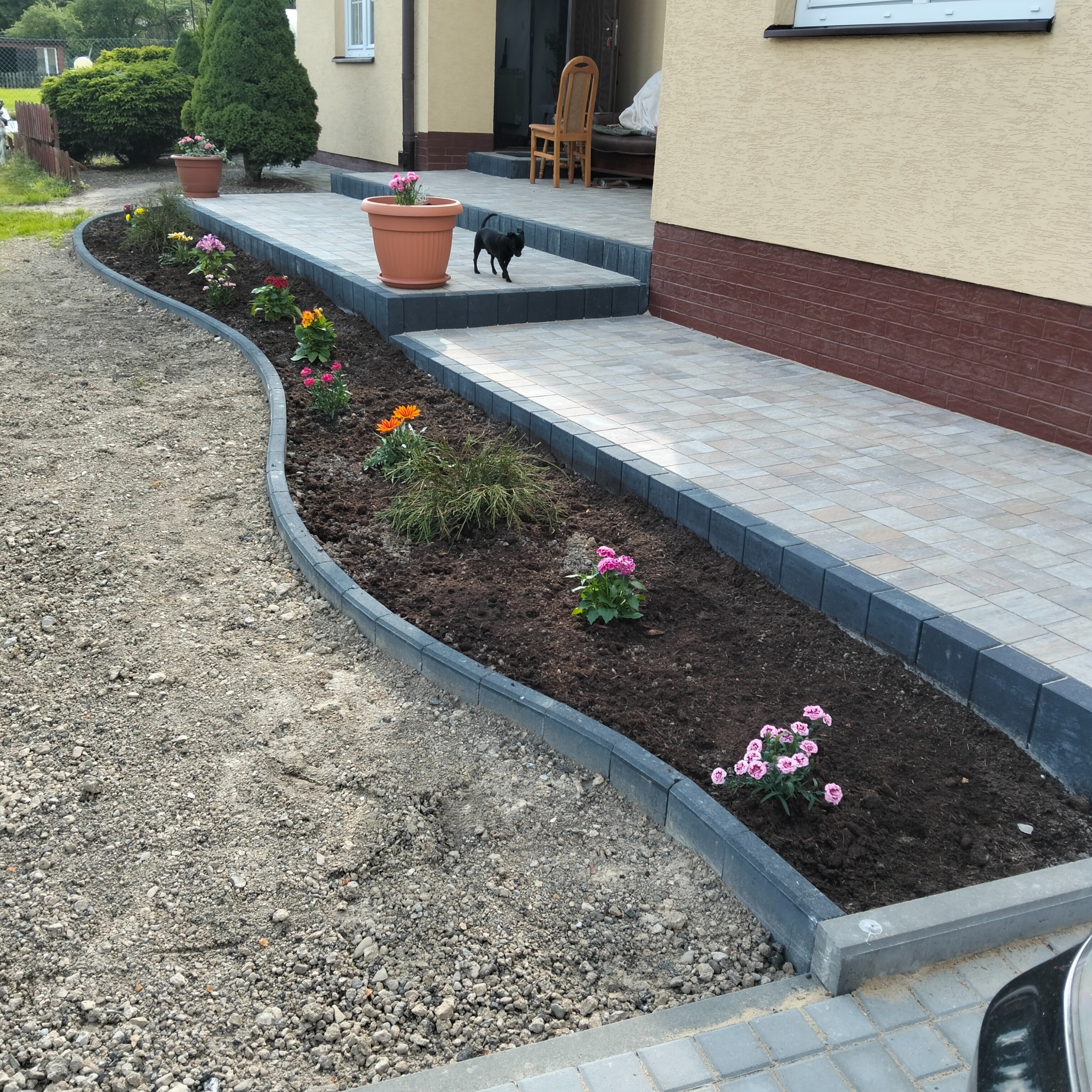 Wykończony ogródek przed domem z obrzeżami z kostki, świeżo posadzone kwiaty i kostka brukowa na podjeździe. Czarny kot spaceruje po schodach.
