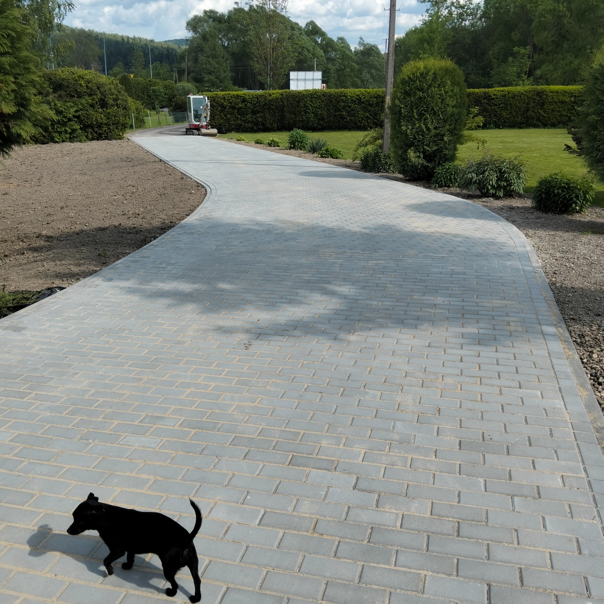 Kaskadowa ścieżka z szarej kostki brukowej, wijąca się przez zadbany ogród. W tle minikoparka i żywopłot. Na pierwszym planie czarny pies.