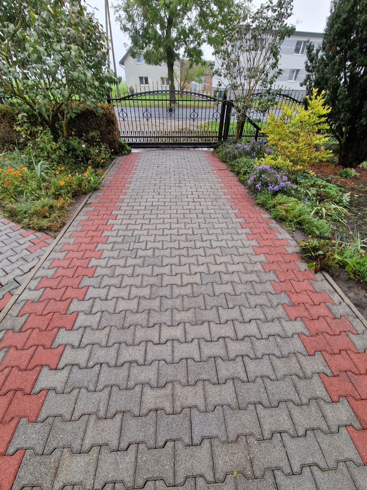 Ułożona szara kostka brukowa z czerwonymi akcentami prowadząca do czarnej, metalowej bramy wjazdowej, otoczona roślinami i kwiatami.