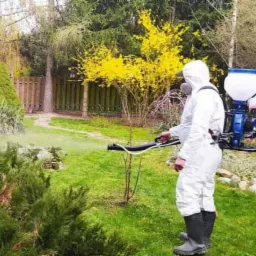 Osoba w kombinezonie ochronnym i masce, z opryskiwaczem na plecach, spryskuje krzew w ogrodzie, na trawniku widoczna delikatna mgiełka oprysku, w tle kwitnący na ż&oacute;łto krzew i drewniany płot.