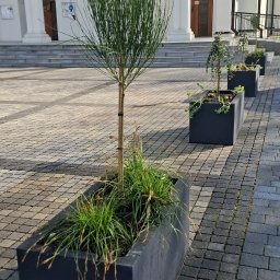 ROLLERRENT EWELINA BOSAKIEWICZ - Przed domem Lublin