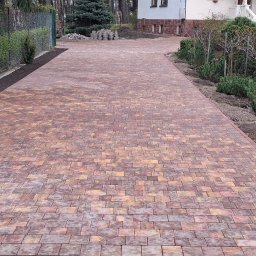 ROLLERRENT EWELINA BOSAKIEWICZ - 