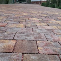 ROLLERRENT EWELINA BOSAKIEWICZ - 