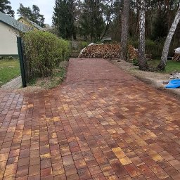 ROLLERRENT EWELINA BOSAKIEWICZ - 