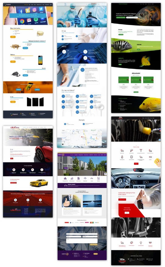 Kolaż zrzutów ekranu różnych stron internetowych, prezentujących różnorodność projektów: lombard, klinika, akwarium, sprzedaż aut, nieruchomości, myjnia samochodowa.