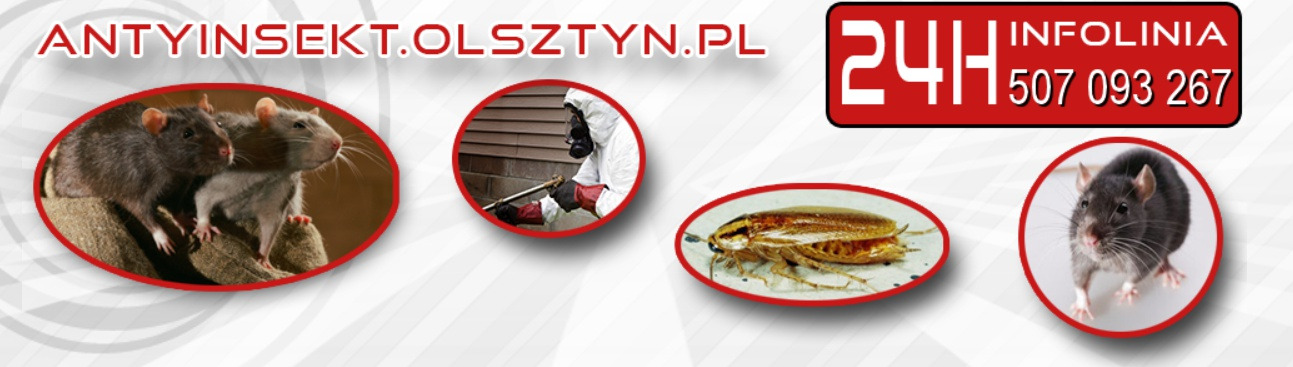 Grafika reklamowa z wizerunkami szczurów, karalucha i osoby w kombinezonie ochronnym podczas oprysku, obok numer infolinii i adres strony internetowej firmy.