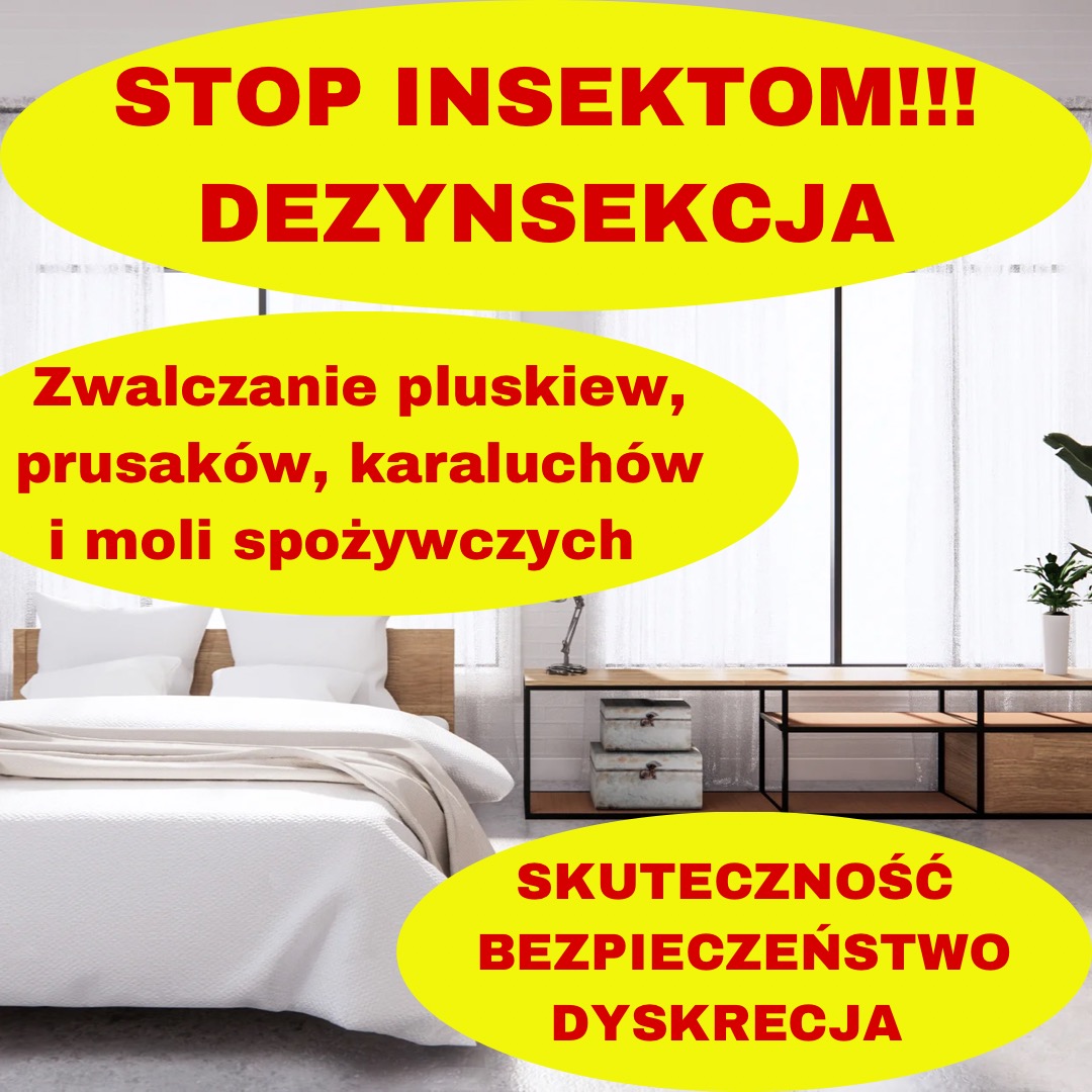 Grafika reklamowa z hasłami 'STOP INSEKTOM!!!', 'DEZYNSEKCJA', 'Zwalczanie pluskiew, prusaków, karaluchów i moli spożywczych', 'SKUTECZNOŚĆ BEZPIECZEŃSTWO DYSKRECJA' na tle sypialni z białym...
