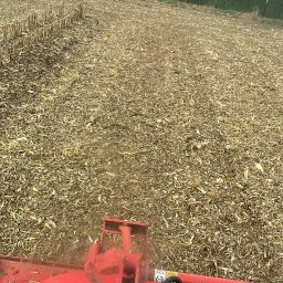 Koszenie trawy Mikołajowice 1