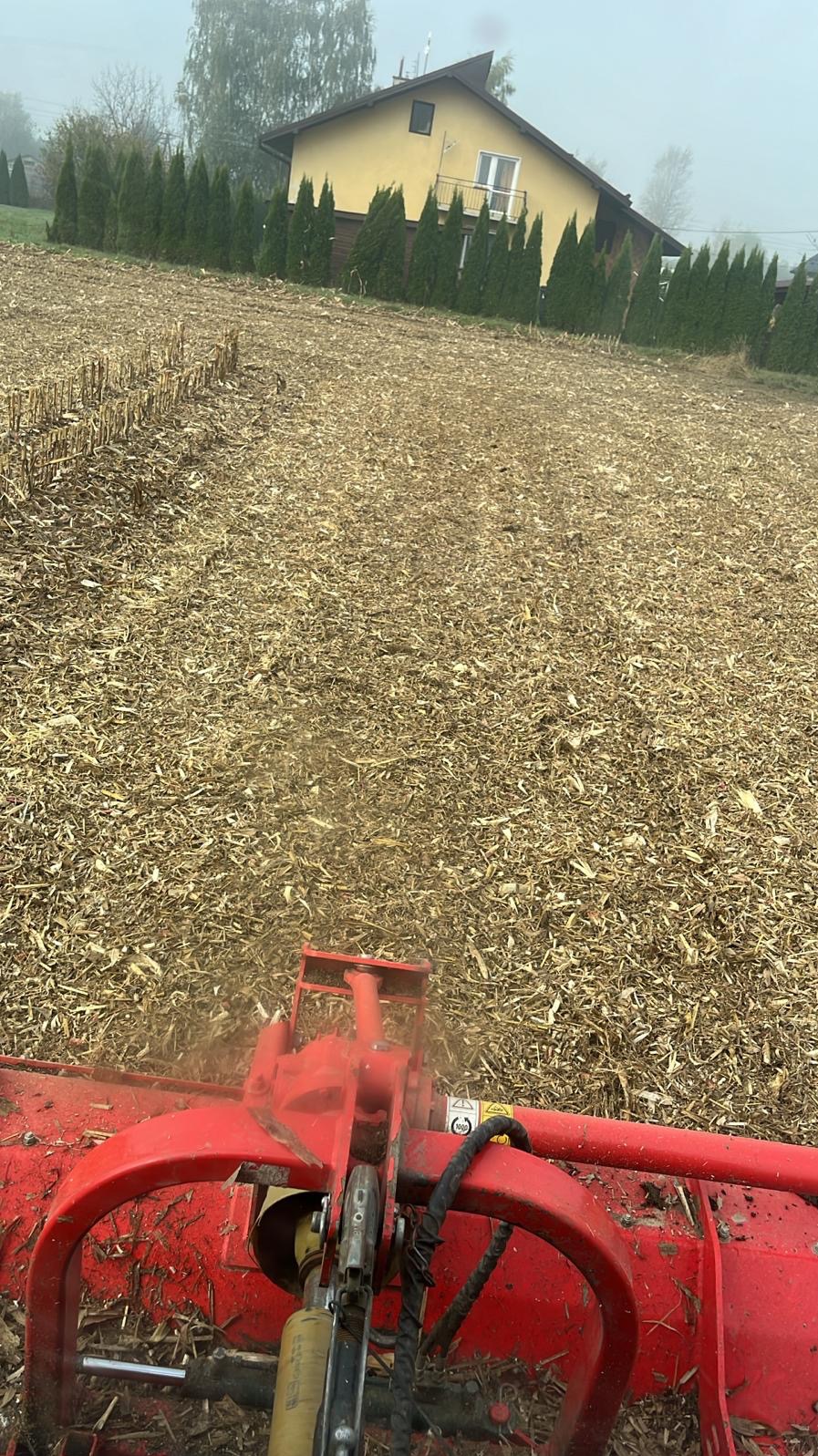 Mulczowanie pola kukurydzy za pomocą czerwonego agregatu, widok z perspektywy operatora, w tle dom i tuje, pochmurny dzień.