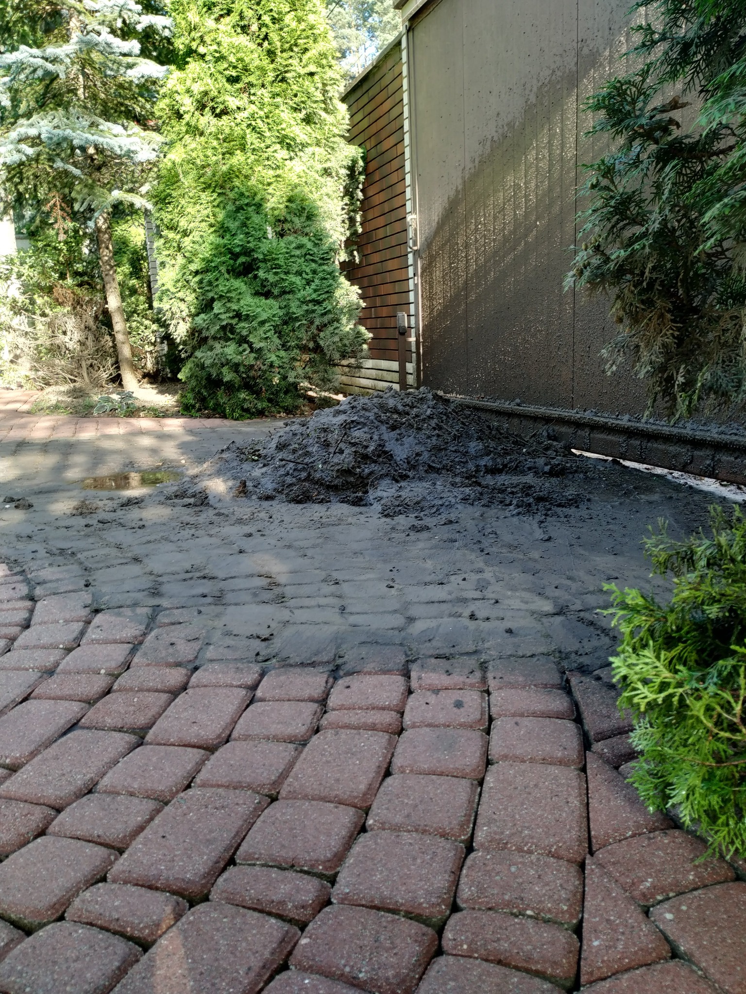Brudna kostka brukowa i elewacja budynku po umyciu, z widocznymi zaciekami i pozostałościami błota. Na pierwszym planie czysta kostka, w tle sterta brudu i kałuża.