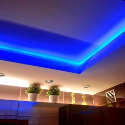 LUKA elektro - Nowoczesne oświetlenie sufitowe LED w kolorze niebieskim, z dekoracyjnymi roślinami i punktowymi lampami, tworzące unikalny klimat wnętrza.