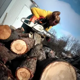 Kobieta w Jeleniej Górze tnie drewno piłą spalinową Stihl na tle stosu pociętych gałęzi i budynku gospodarczego.