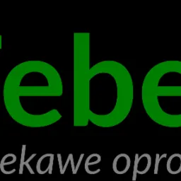 Zielono-szare logo firmy Febeted z hasłem 'ciekawe oprogramowanie' na czarnym tle.