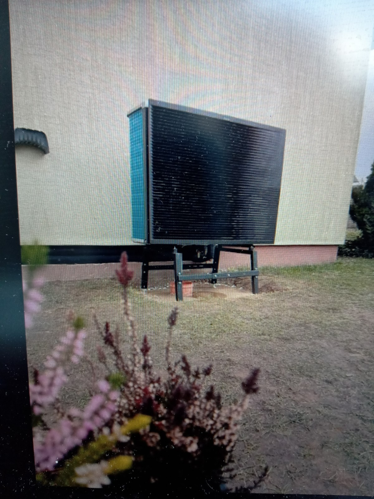 Zewnętrzna jednostka pompy ciepła powietrze-woda, zamontowana na metalowej konstrukcji przy ścianie budynku, z kwitnącym wrzosem na pierwszym planie.