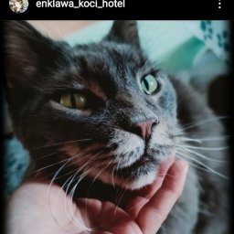 Robienie zakupów do domów Wrocław 3