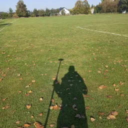 Cień osoby z tyczką na zielonym boisku sportowym z opadłymi liśćmi, w tle widoczne budynki i drzewa.