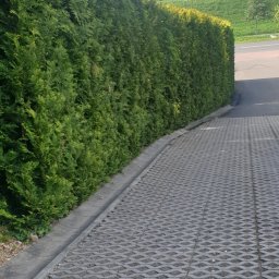 Projektowanie ogrodów Proszowice 4