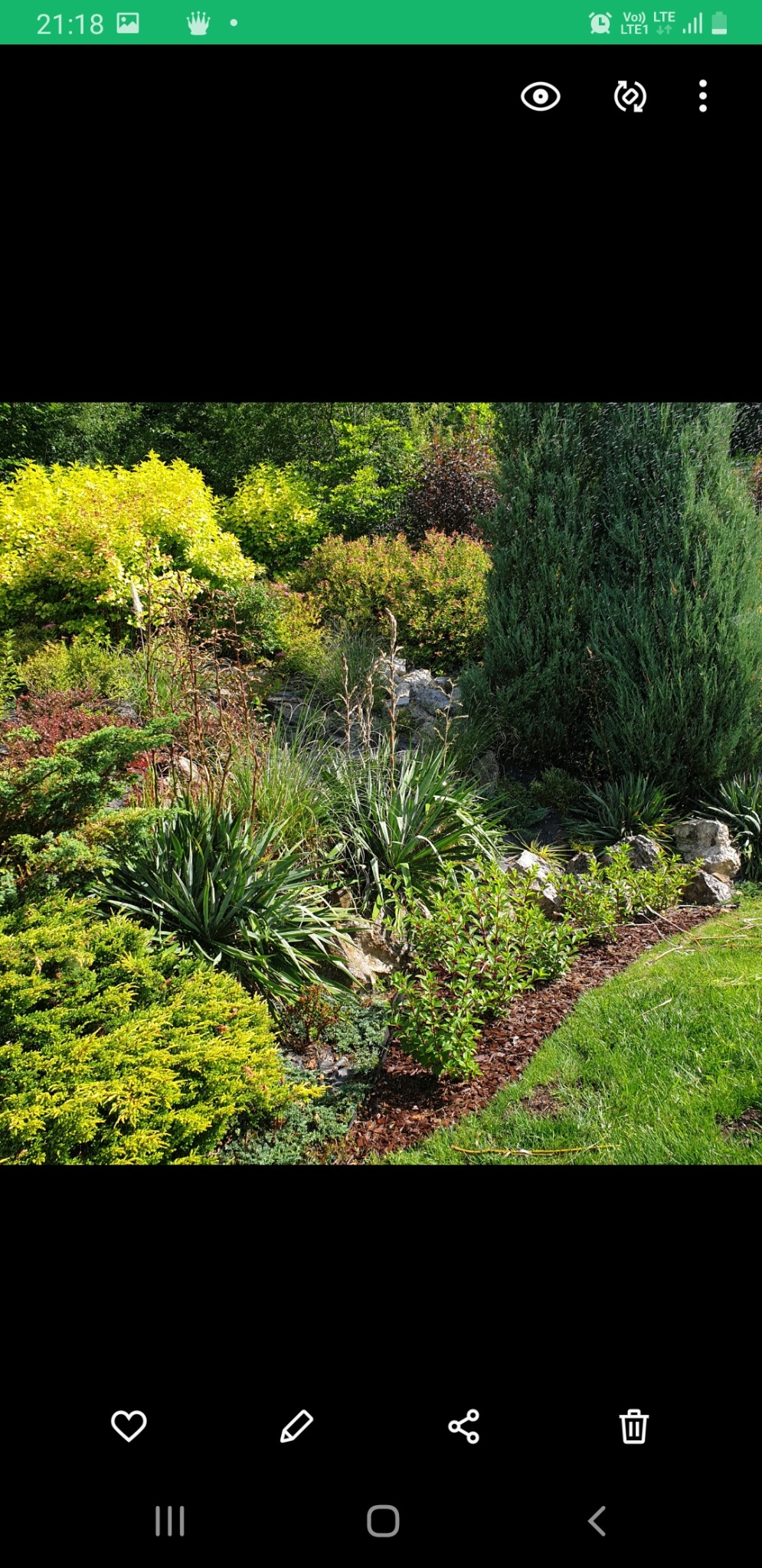 Urozmaicony ogród z różnorodną roślinnością: iglaki, krzewy liściaste o żółtych i czerwonych liściach, trawy ozdobne oraz kamienie. Widoczne ściółkowanie korą.