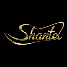 Shantel - Szkoła Tańca Palikówka