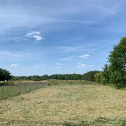 Świeżo skoszona trawa na ogrodzonym terenie z widokiem na las w tle, błękitne niebo z delikatnymi chmurami.