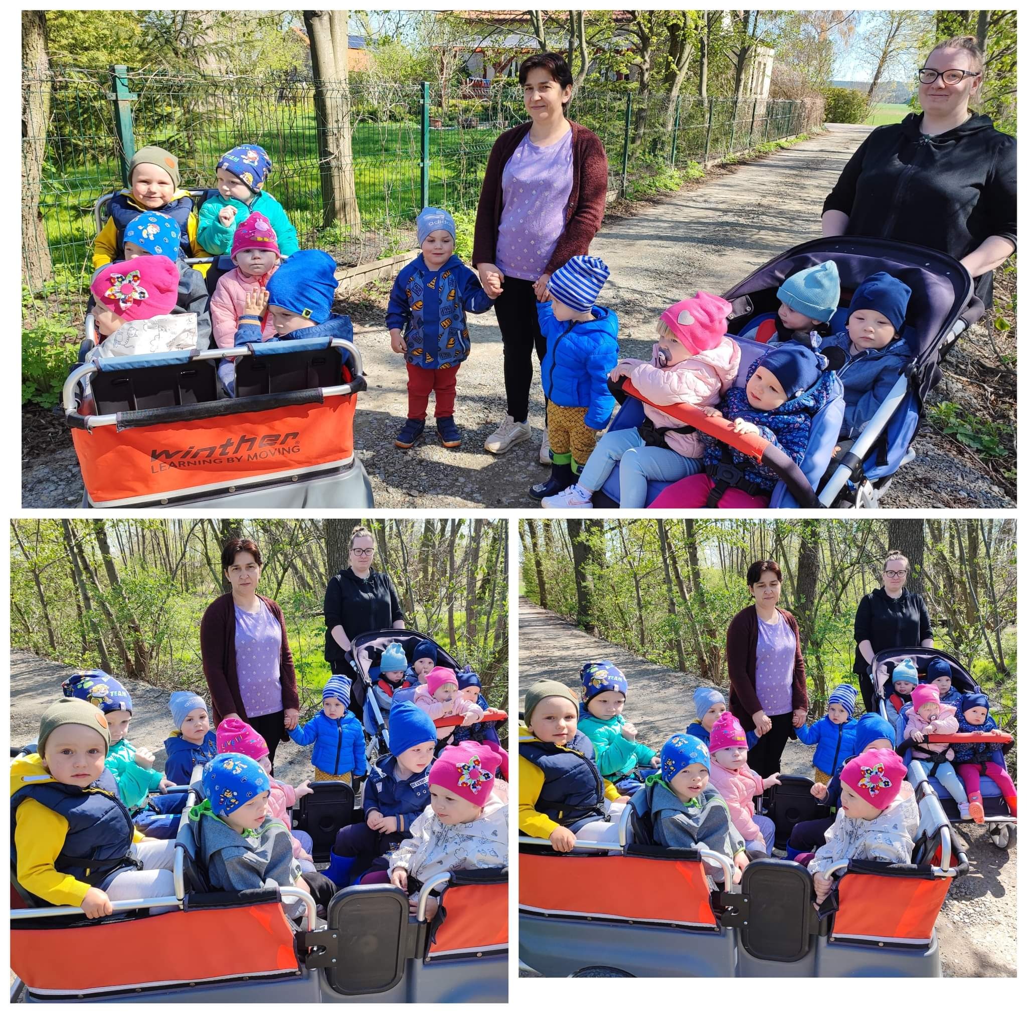 Grupa dzieci w kolorowych czapkach siedzi w dwóch wózkach-przyczepkach podczas spaceru po leśnej ścieżce, opiekunowie stoją obok.