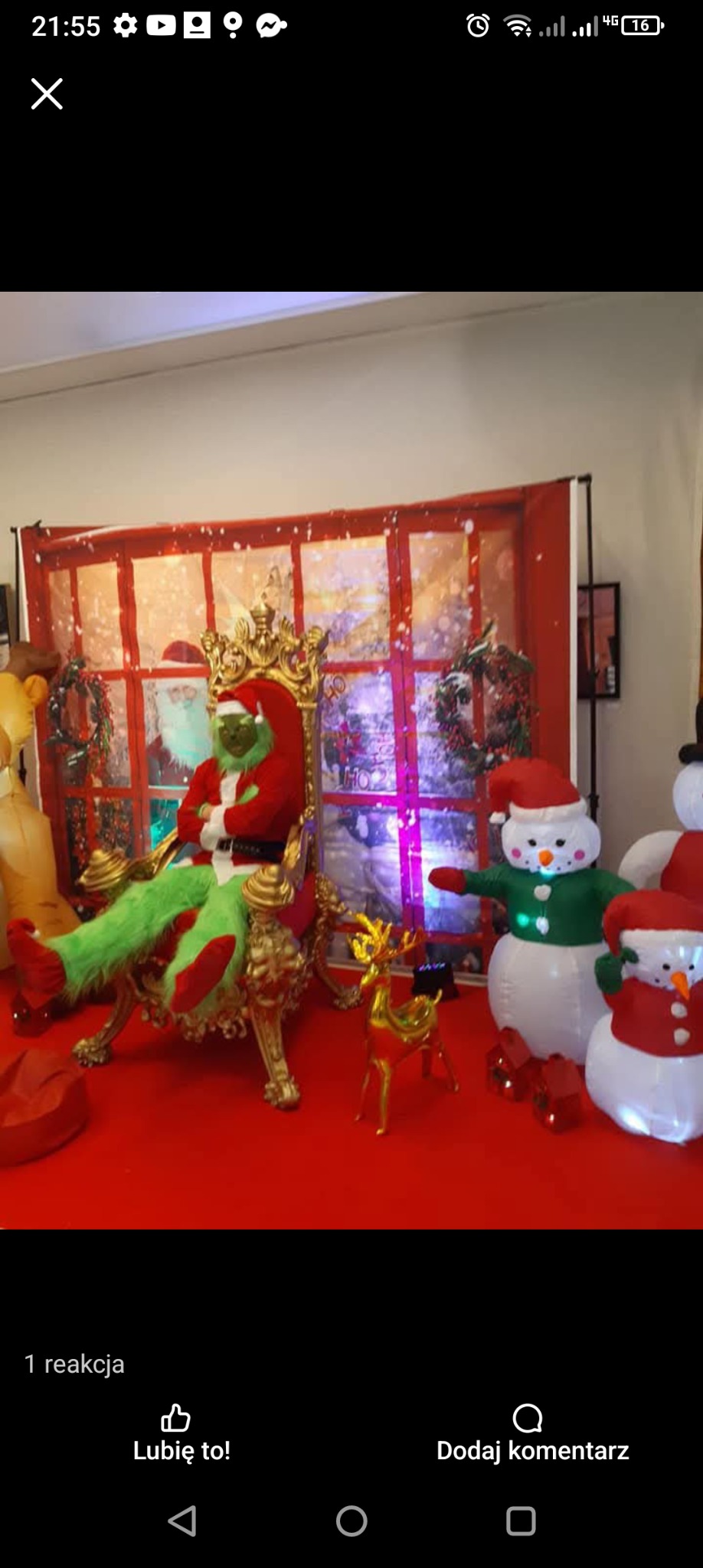 Dekoracje świąteczne, animacje świąteczne