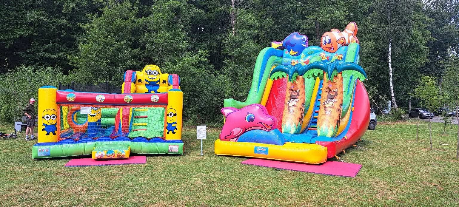 Kolorowe dmuchańce z motywami Minionków i morskimi zwierzętami na trawie, gotowe do zabawy na imprezie plenerowej. Zjeżdżalnia z delfinem i palma.
