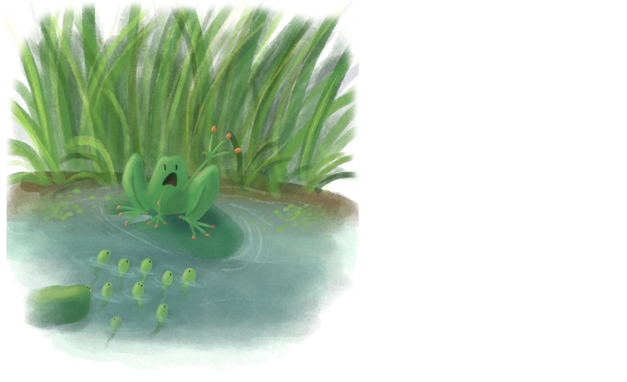 Ilustracja cyfrowa przedstawiająca zaskoczoną żabę siedzącą na liściu lilii wodnej, obserwującą pływające kijanki w stawie z wysoką trawą w tle.