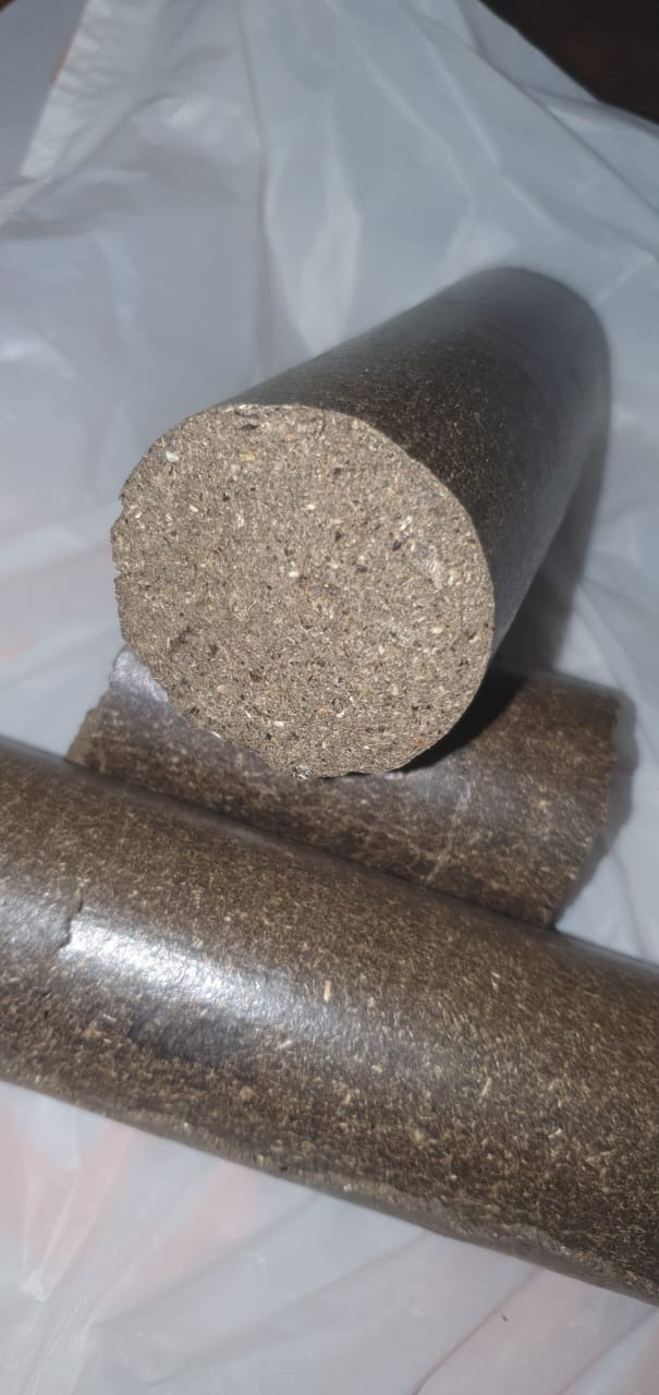 Brykiet drzewny w cylindrycznym kształcie, widoczny przekrój, na tle folii, oferowany w Swolszewicach dużych.