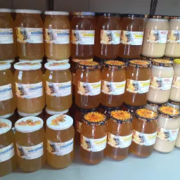 Rzędy słoików z różnymi rodzajami miodu, w tym faceliowym i lipowym, z etykietami 'Pasieka Rodzinna', część słoików ma naklejki z motywem słonecznika.