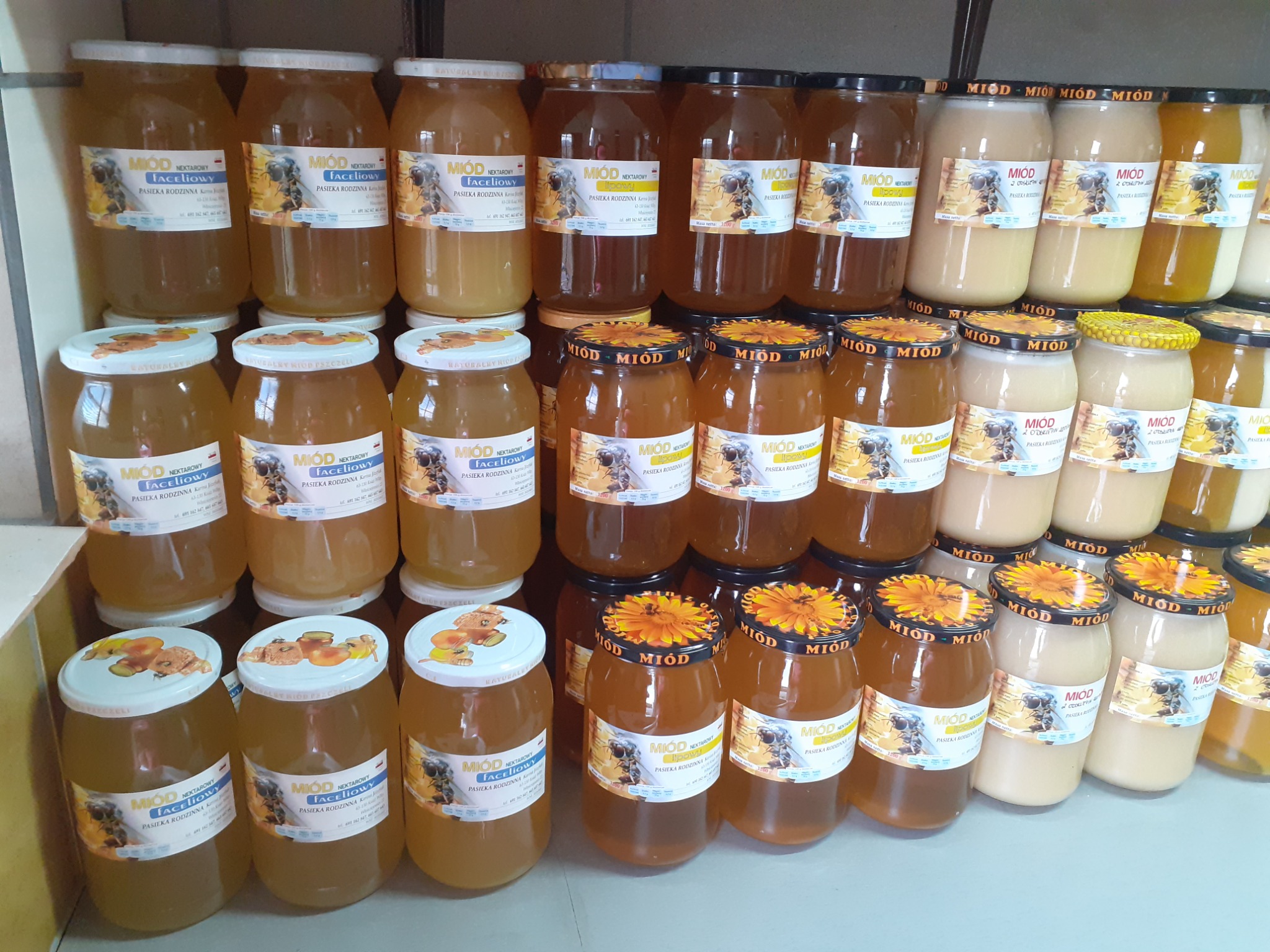 Rzędy słoików z różnymi rodzajami miodu, w tym faceliowym i lipowym, z etykietami 'Pasieka Rodzinna', część słoików ma naklejki z motywem słonecznika.