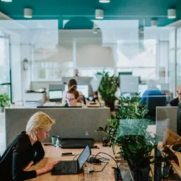 Otwarta przestrzeń biurowa z pracownikami przy biurkach, roślinami doniczkowymi i szklanymi ściankami działowymi, kobieta z blond włosami pracuje na laptopie, dotykając ekranu.