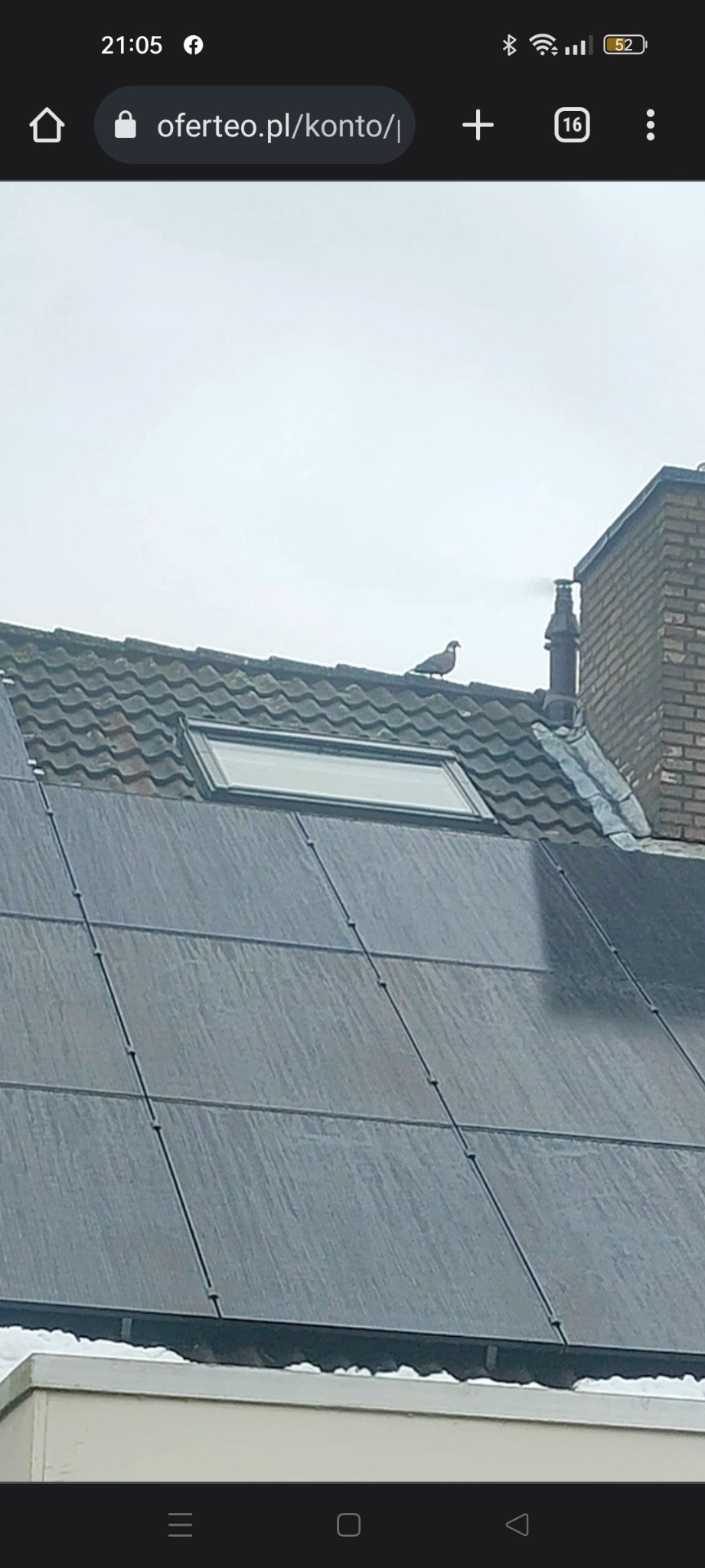 Panel słoneczny na dachu z gołębiem siedzącym obok komina, widok z dołu w pochmurny dzień.