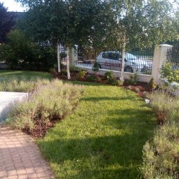 Sławomir Kilichowski - Prace Ziemne Warszawa