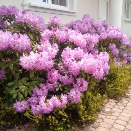 Malowanie mieszkań Warszawa 3