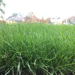 Malowanie mieszkań Warszawa 4