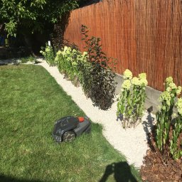 Sławomir Kilichowski - Automatyczna kosiarka na trawie obok rabaty z białego żwiru i kwitnących hortensji, brązowy płot z wikliny w tle.