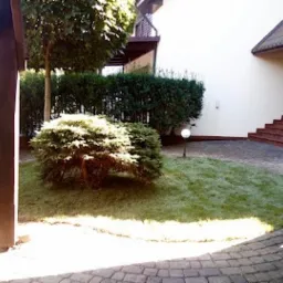 Świeżo ułożony trawnik z rolki przed domem, widoczna kostka brukowa, krzewy ozdobne i schody wejściowe.