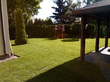 Świeżo skoszony trawnik przed domem, widoczna gładka powierzchnia trawy, żywopłot z tuj w tle, część altany z kostki brukowej po prawej stronie, cień na trawie.