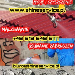 Kompozycja zdjęć przedstawiająca mycie elewacji, malowanie dachu, usuwanie zabrudzeń z graffiti i impregnację kostki brukowej, z naniesionymi napisami reklamowymi firmy.