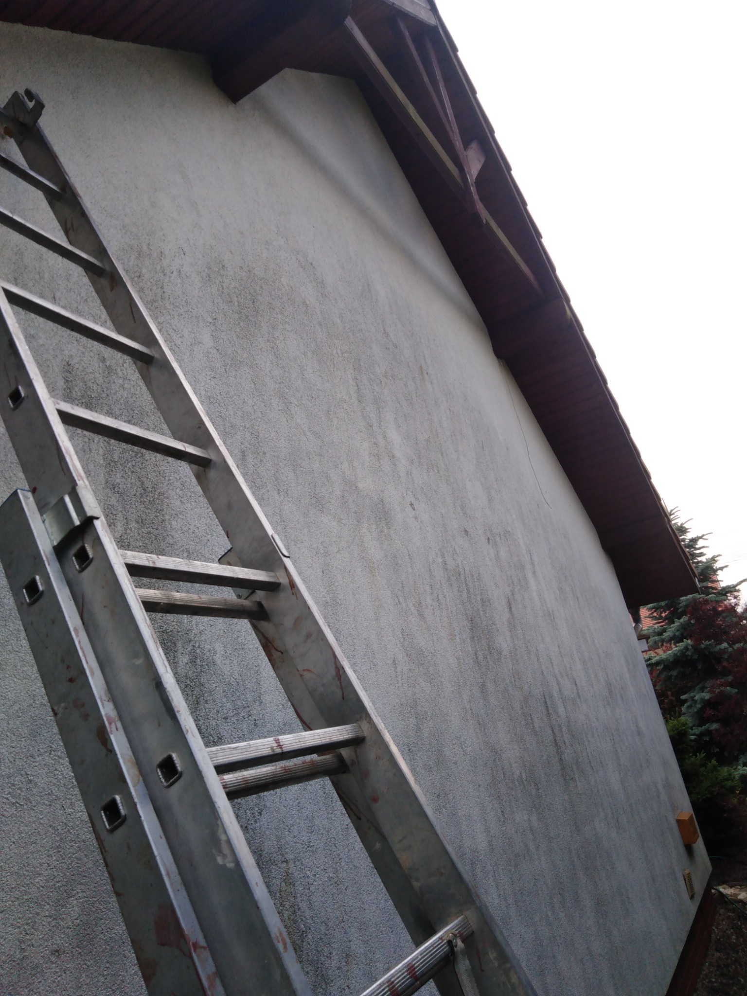 Metalowa drabina oparta o szarą ścianę budynku z widocznym fragmentem dachu i zielenią w tle.