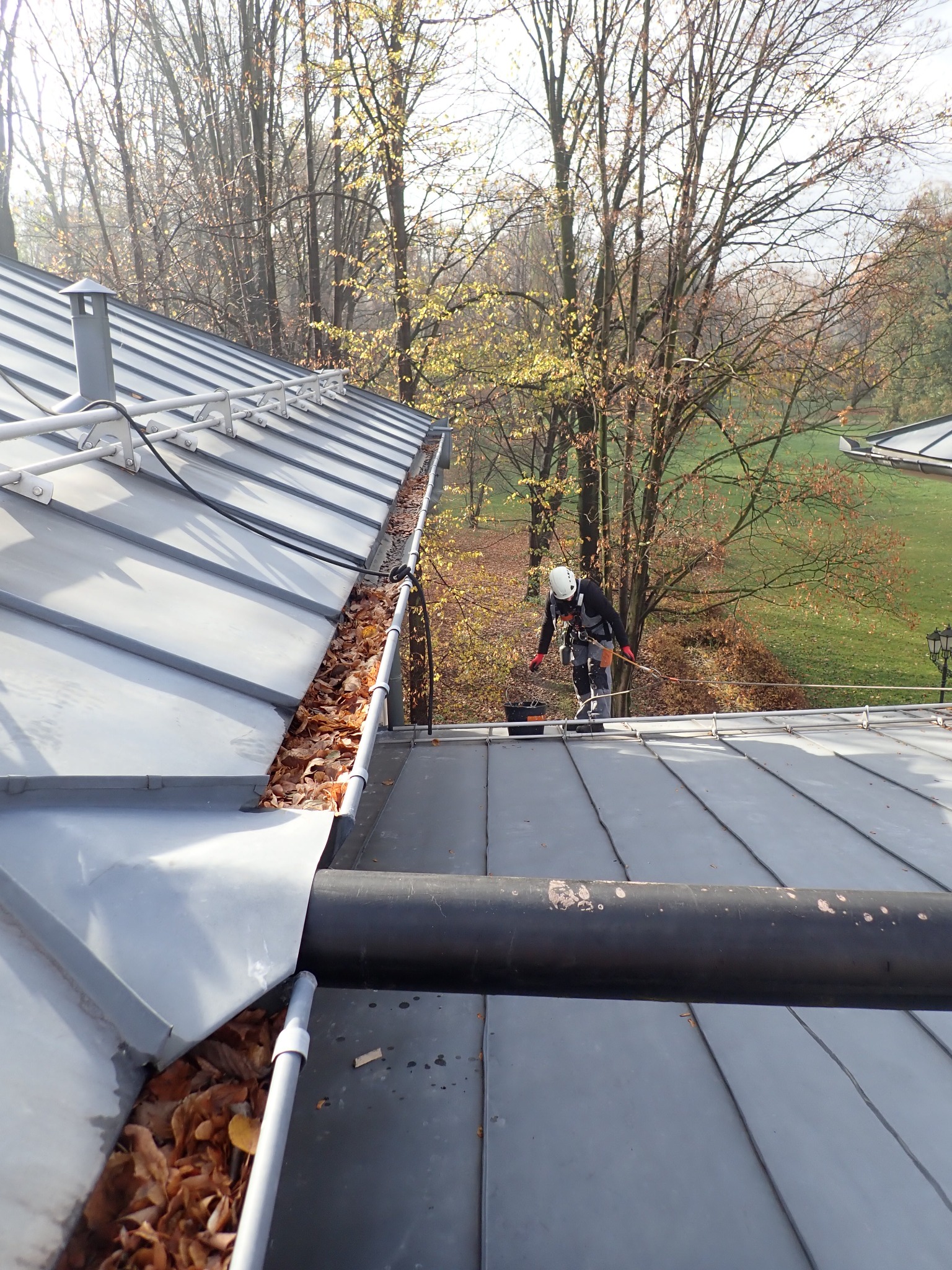 Pracownik w kasku i uprzęży, z poziomu dachu, czyści rynnę z liści na tle jesiennego krajobrazu w Tychach.