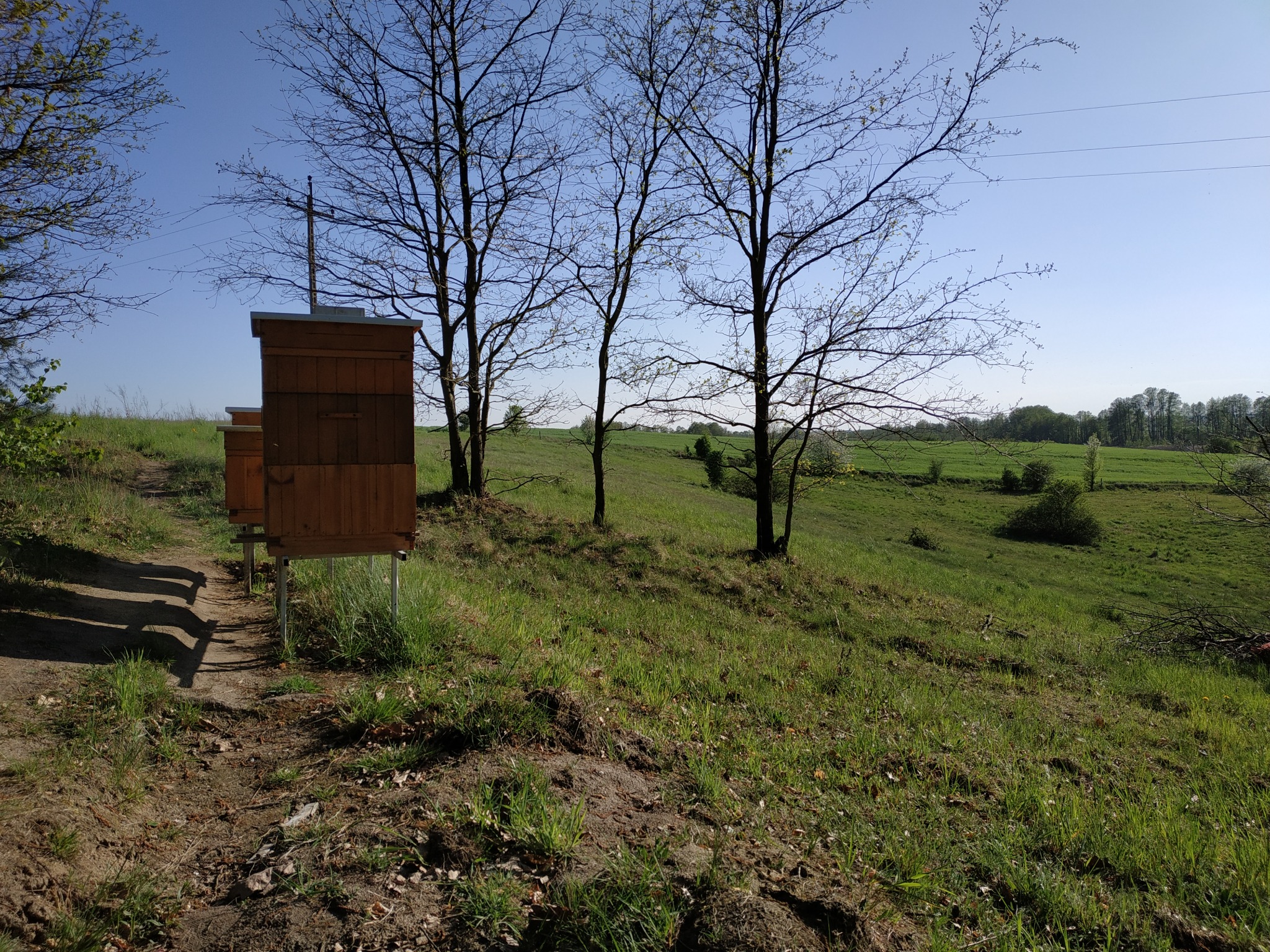 Dwa drewniane ule na metalowych nogach ustawione na skraju polany z widokiem na łąki i drzewa w oddali, błękitne niebo w tle.