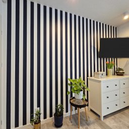 TOM LUX HOME TOMASZ HETNAR - Ściana w pionowe pasy granatowo-białe, komoda z dekoracjami, rośliny doniczkowe. Nowoczesne wykończenie wnętrza, jasne oświetlenie, podłoga imitująca drewno.