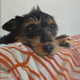 Julia Kawecka - 15x20, akryl na płótnie